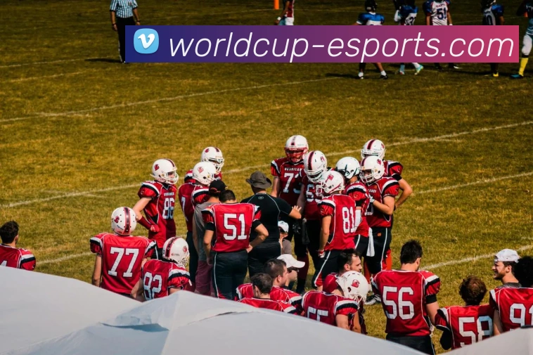 App Interface Preview